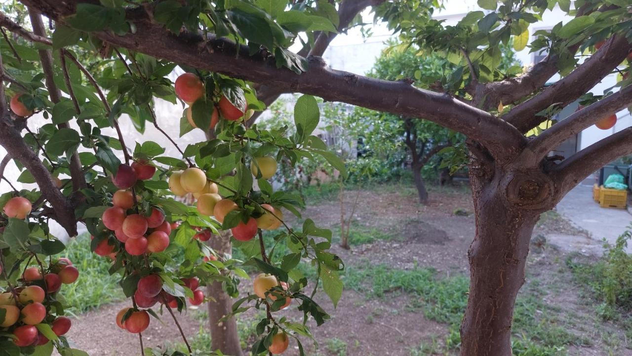 Jonia Appartamento Vacanze Vicino Al Mare Con Giardino Pulsano Buitenkant foto