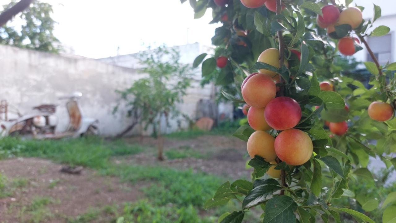 Jonia Appartamento Vacanze Vicino Al Mare Con Giardino Pulsano Buitenkant foto