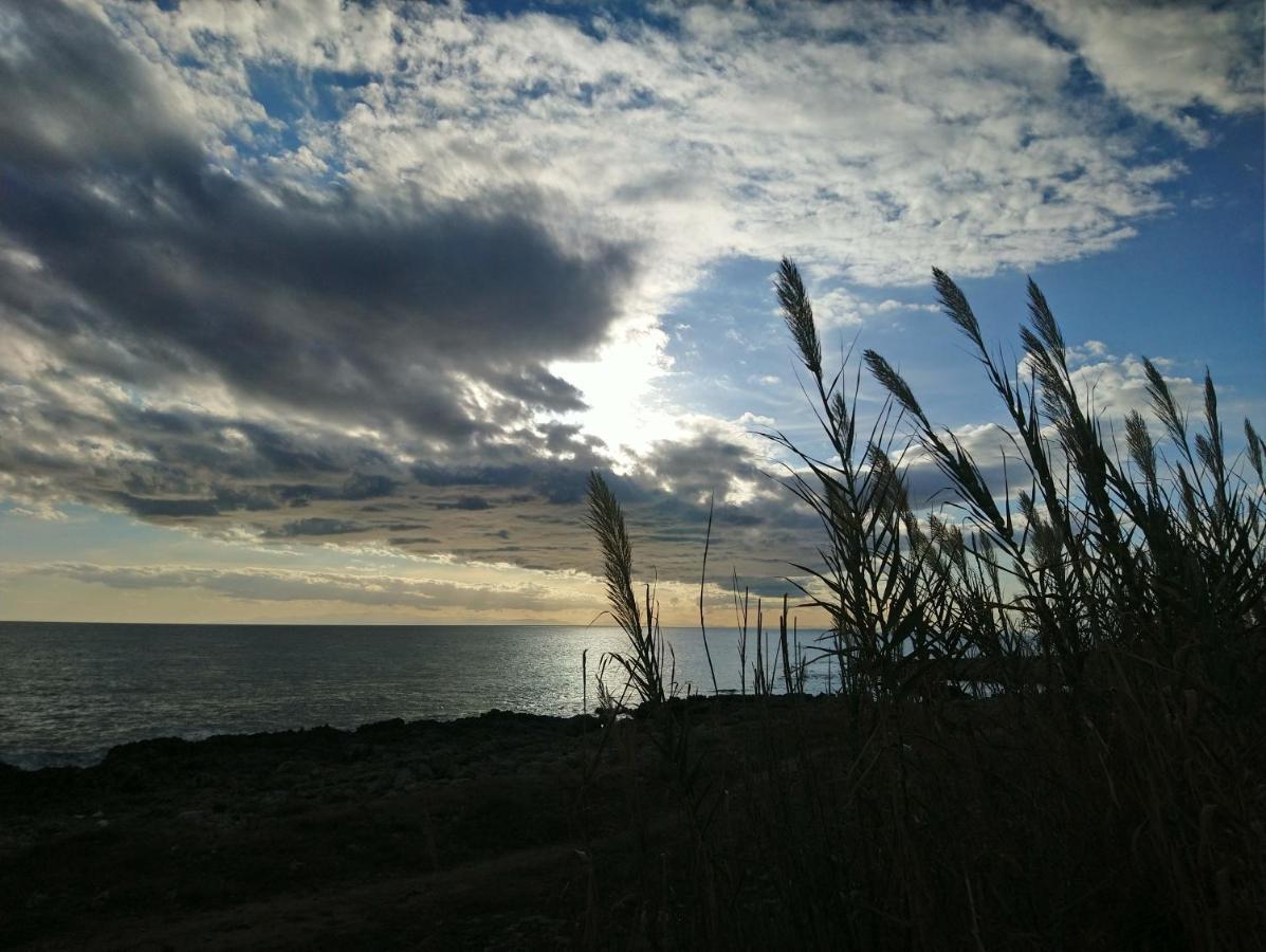 Jonia Appartamento Vacanze Vicino Al Mare Con Giardino Pulsano Buitenkant foto