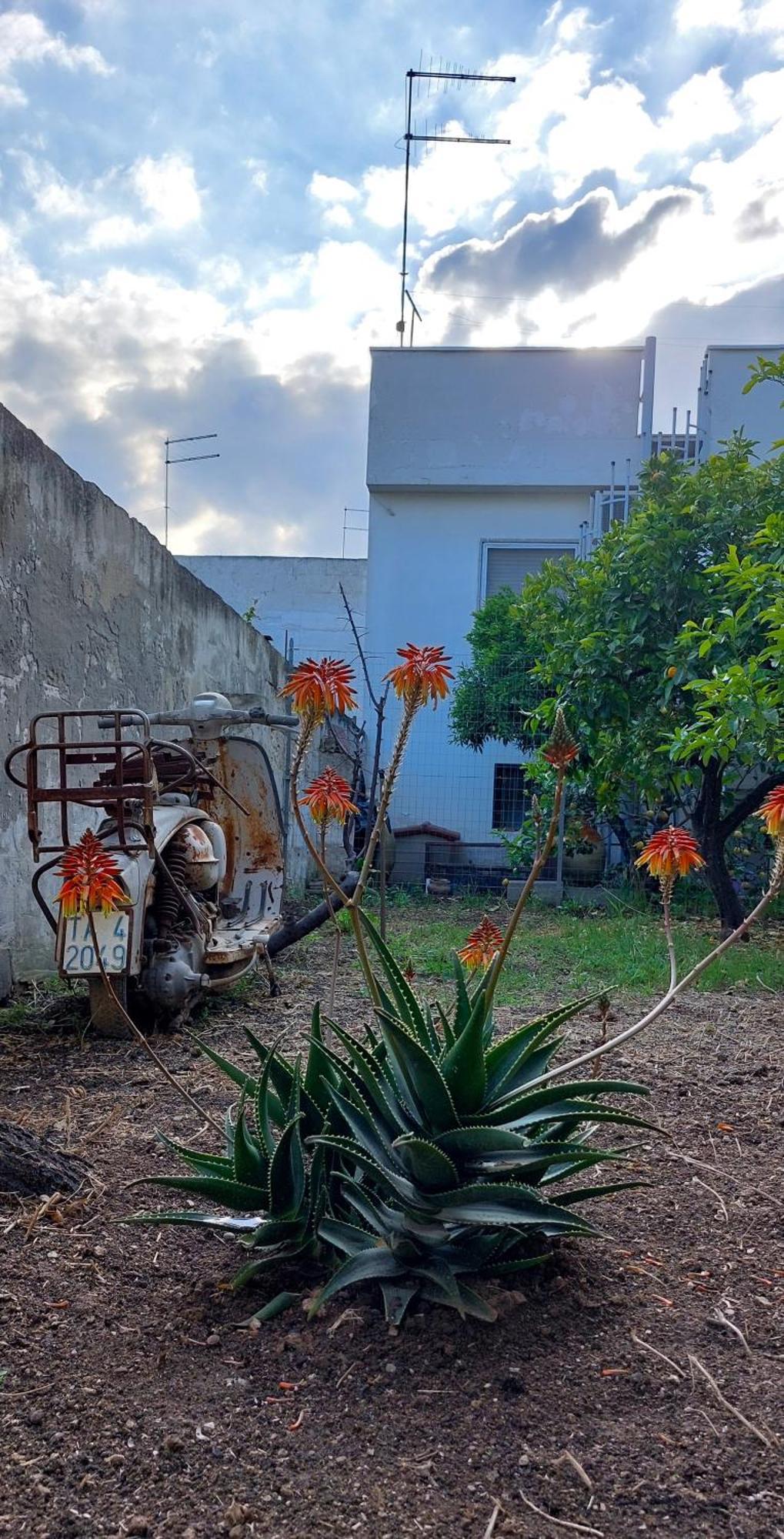Jonia Appartamento Vacanze Vicino Al Mare Con Giardino Pulsano Buitenkant foto
